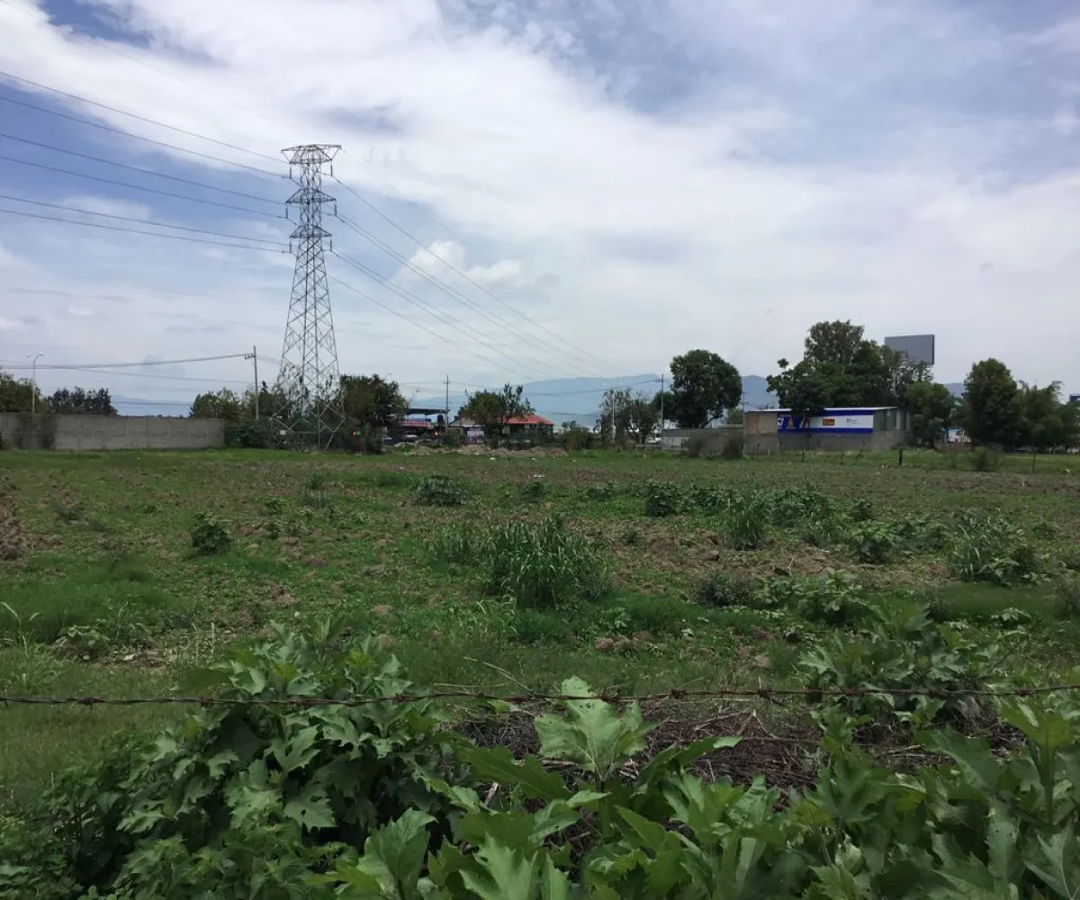 Terreno En Venta,Los Cajetes,Camino Real a Colima 0, San Pedro Tlaquepaque, Jalisco 45609,Camino Real a Colima ,1,pvE0ezq