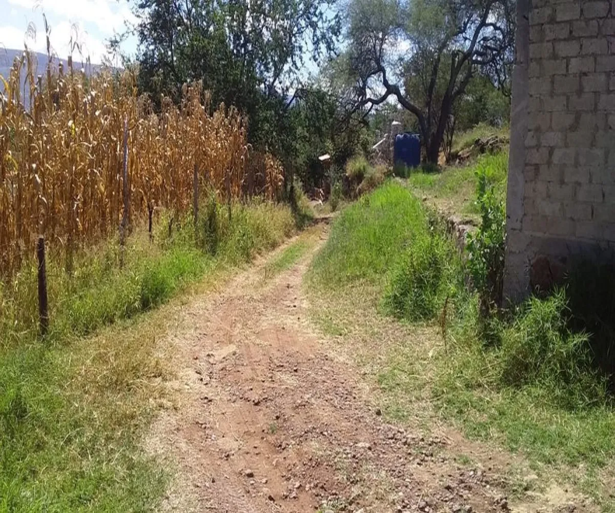 Terreno En Venta,Santa Cruz de las Flores,Camino Rural S/N, Tlajomulco de Zúñiga, Jalisco 45640,Camino Rural,p870ewn